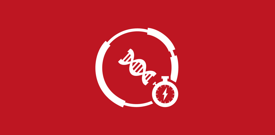 High-Throughput Plasmid Preps