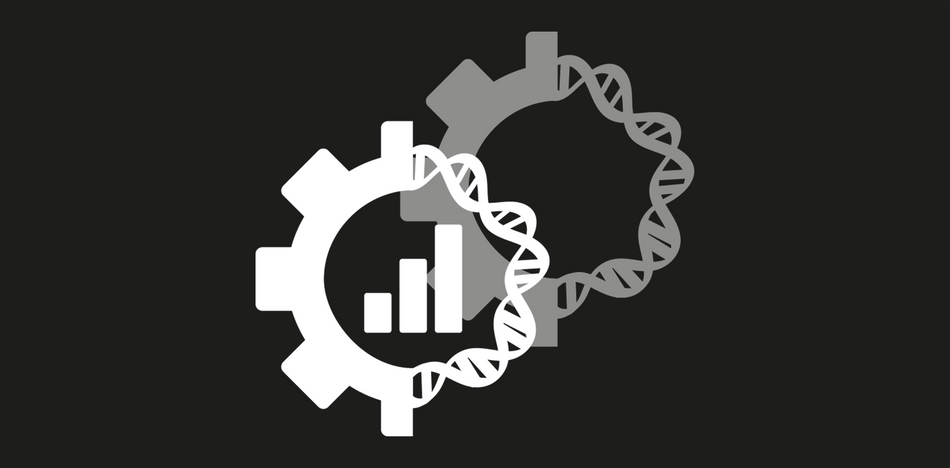 Custom - Stable / High Yield